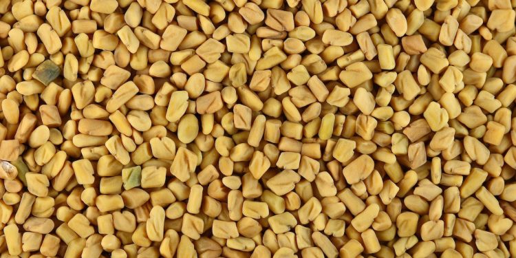 Why methi seeds are good for you