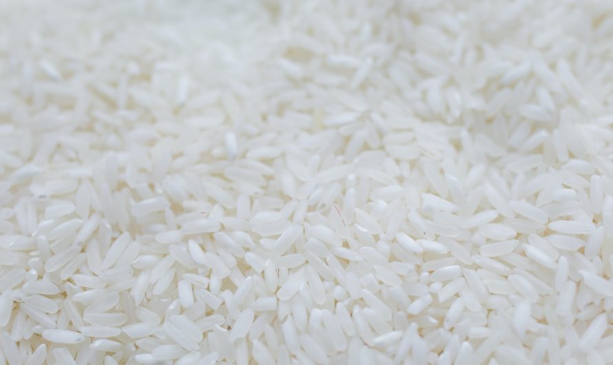 Cooking trick to cut calories in rice